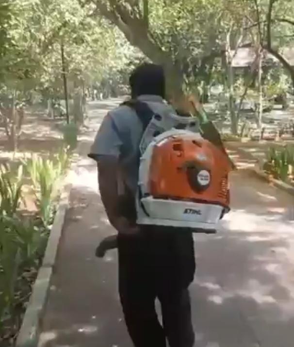 Chennai steps up dengue prevention measures as cases rise