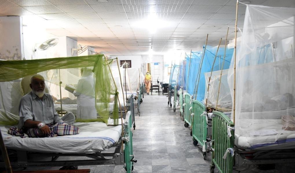 Pakistan: Dengue cases rise in Rawalpindi after heavy rains
