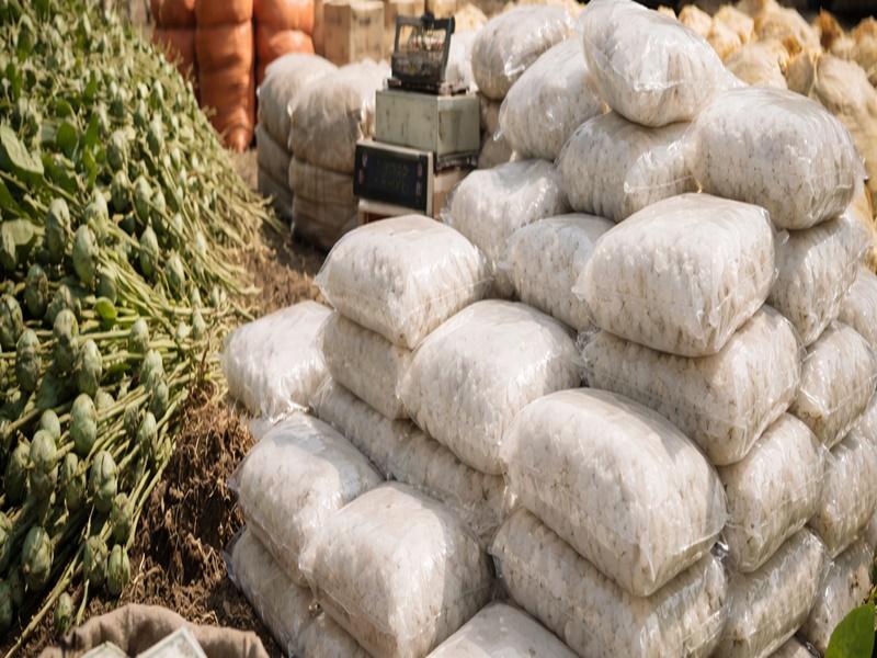 MP Police seize drugs valued at Rs 22 crore in Rajgarh, Neemuch