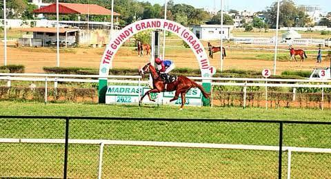 TN govt floats Rs 25 crore tender to develop eco-park on Madras Race course land