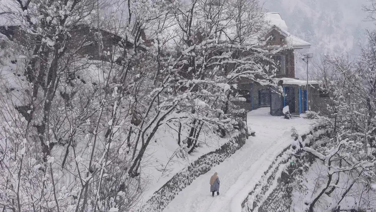 Shimla's Tourism Surges as Tourists Flock for Snowfall