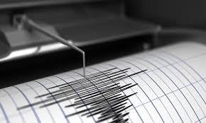 Nagaland Earthquake
