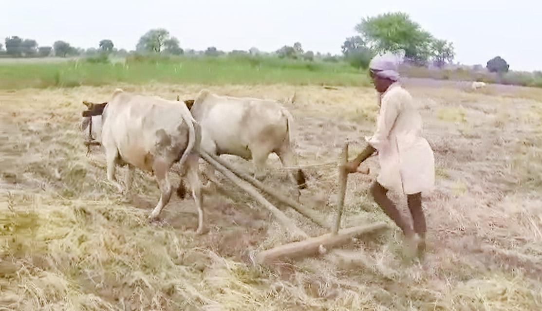 PM KISAN scheme: About 2 lakh farmers draw benefits in MP's Damoh