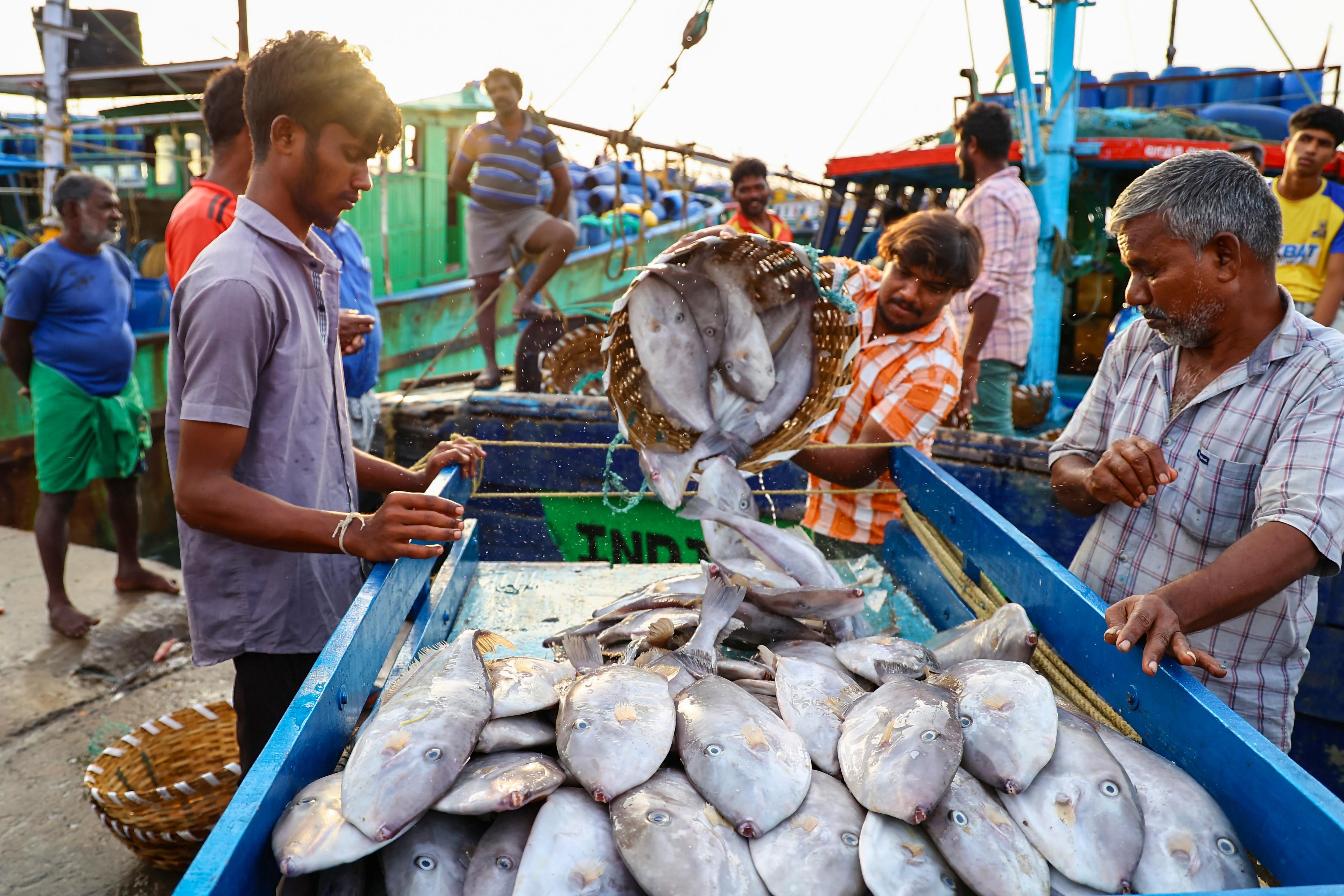 India's seafood exports up 14 pc in April-Oct, shrimp exports to US robust in 5 years