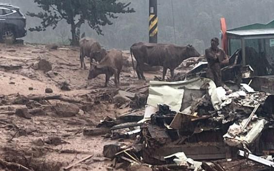 South Korea: Death toll rises as heavy rains cause landslide; national firefighting mobilisation order issued