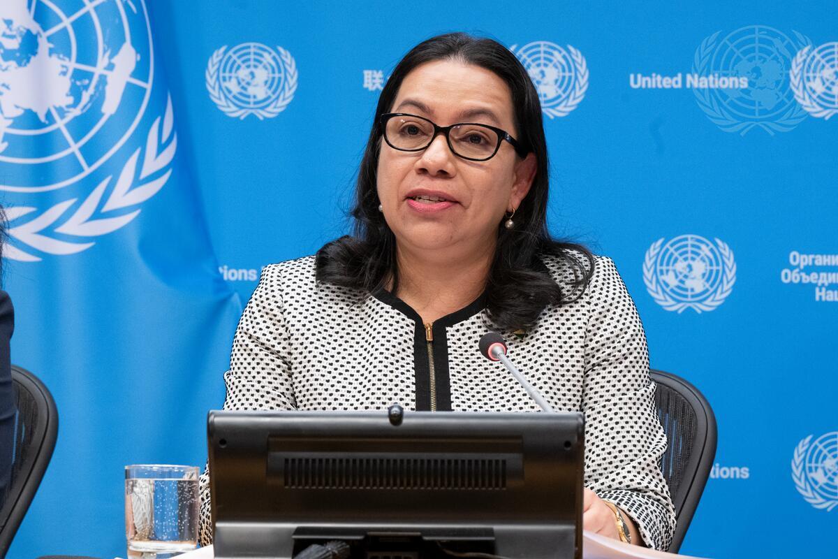 After seeing UNSC at work, Guyana 'even more motivated to advocate' for reform