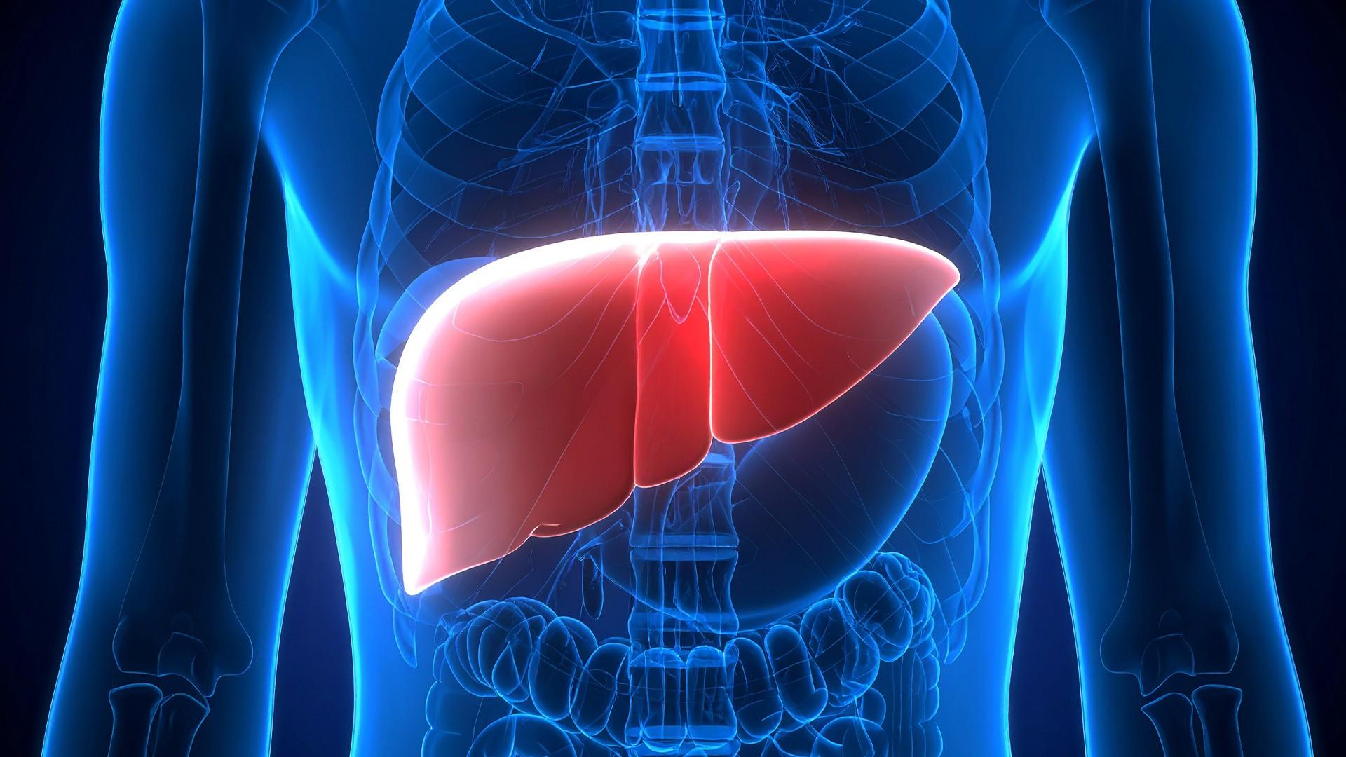 New blood test to predict risk of liver cirrhosis, cancer within 10 years