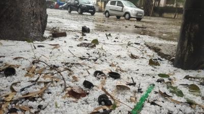 Bihar: Met Dept issues red alert in 16 districts after hailstorm