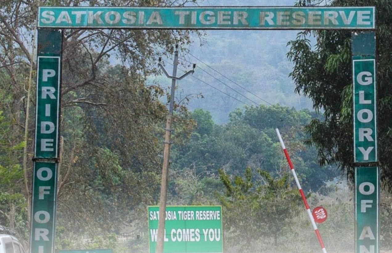 Village relocation in Satkosia Tiger Reserve under scrutiny: OHRC orders inquiry committee