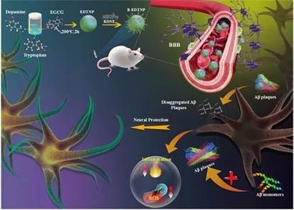 INST researchers develop new nanoparticle-based multifunctional therapy for Alzheimer’s