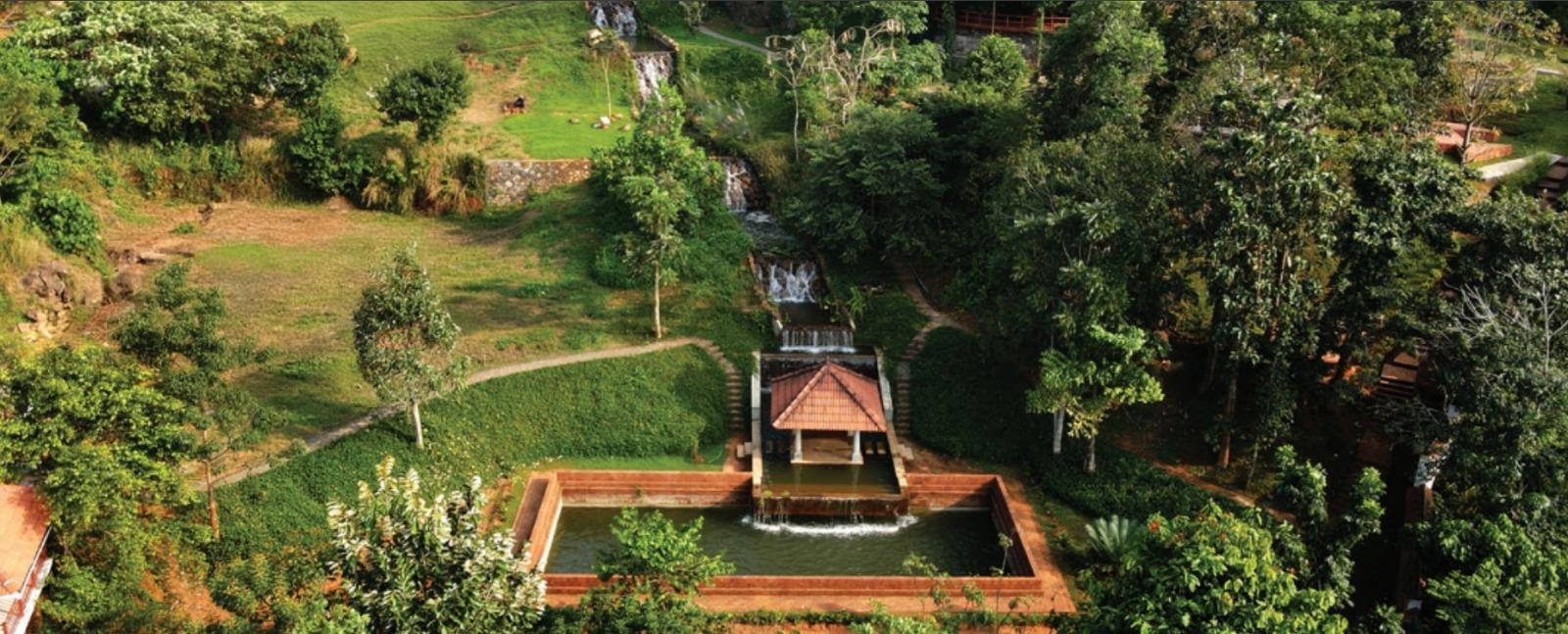 Bringing a 17th-century garden to life: How ‘Hortus Malabaricus’ blooms again in modern Kerala