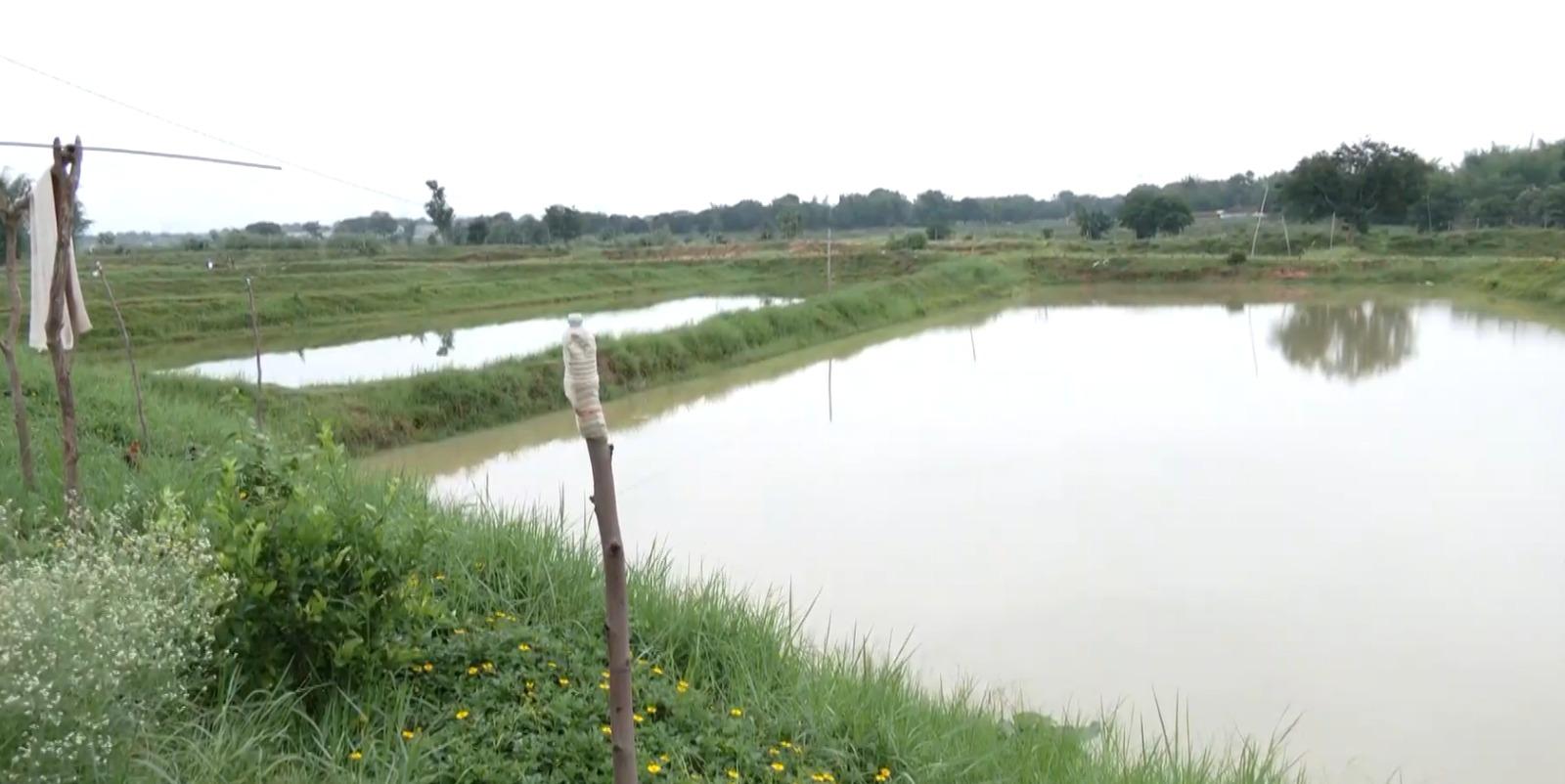 Jharkhand’s former Maoists turn fish farmers, thanks to Pradhan Mantri Matsya Sampada Yojana