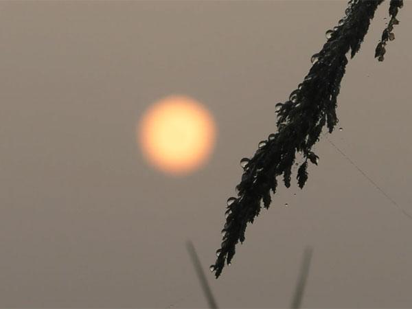 India ushered in the New Year 2025