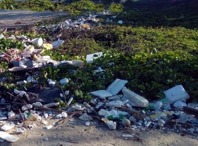 After plastic found in dead elephant's belly, TN forest division flags open waste dumping