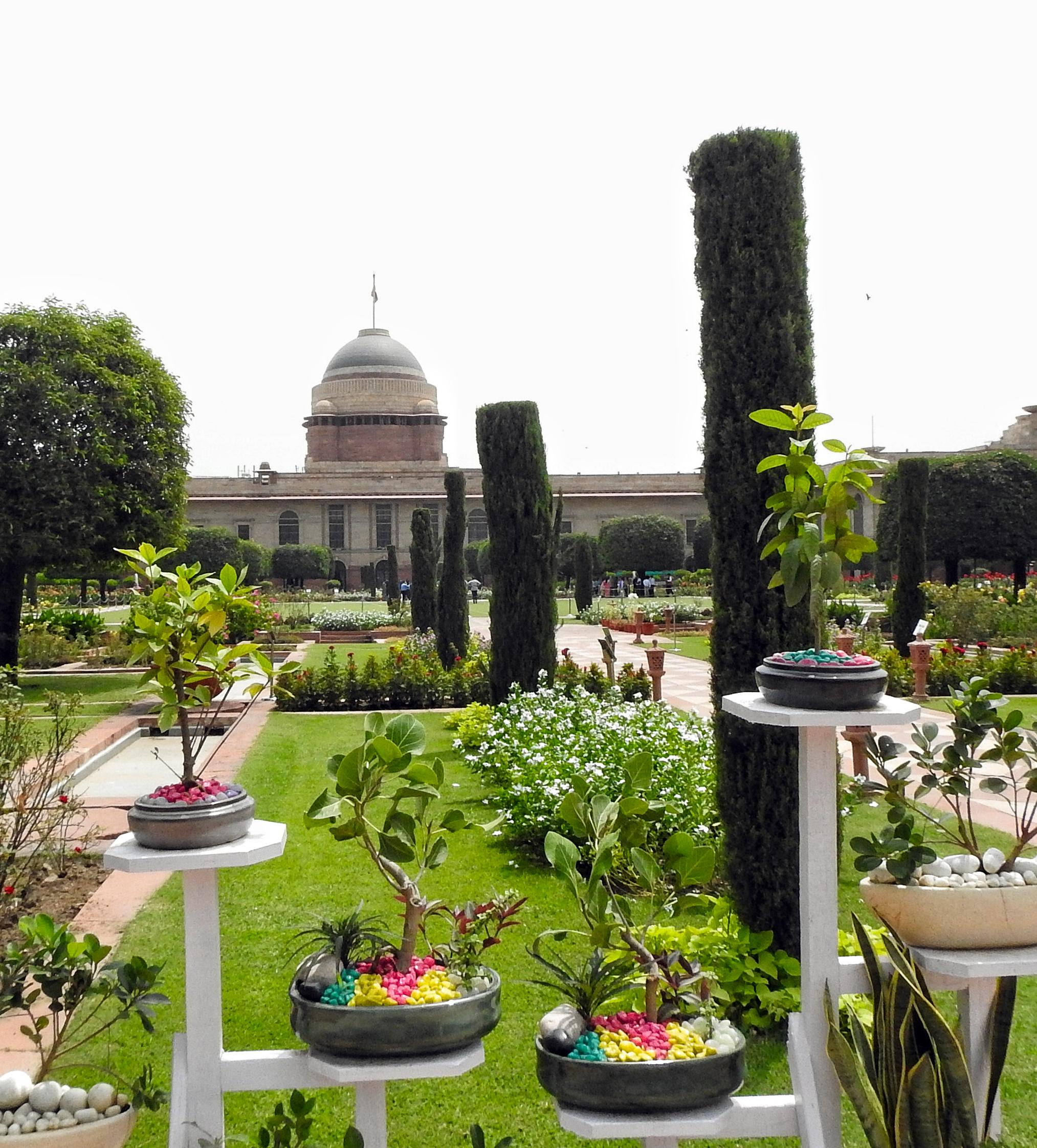 Amrit Udyan opens for public from February 3, QR codes introduced for identifying plants