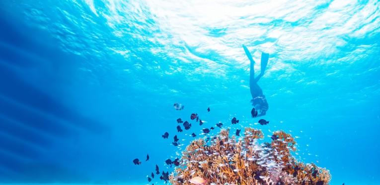 France, Brazil launch initiative to scale up ocean-focused climate action