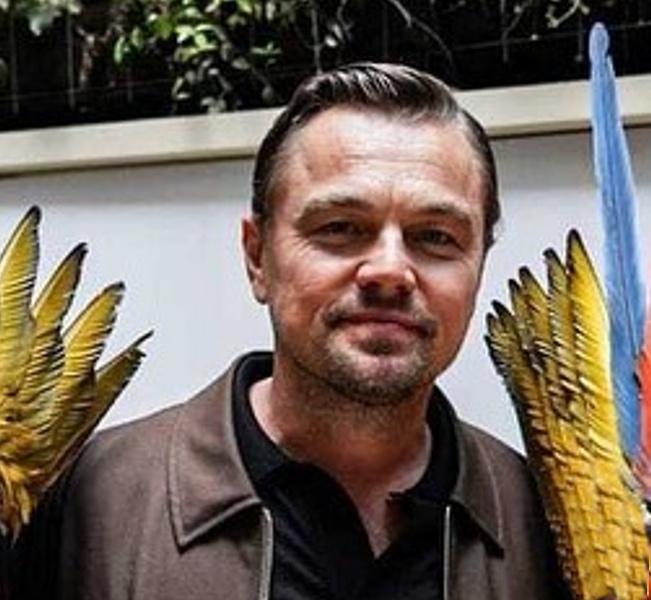 Leonardo DiCaprio shared why he thinks box-office is important