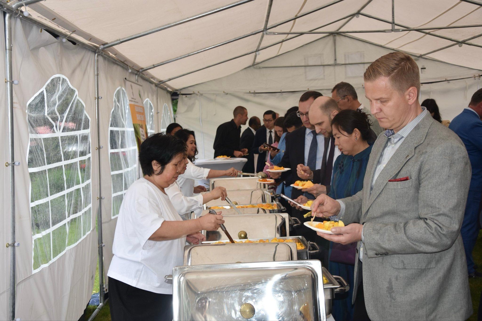 Indian Kesar mangoes arrive in Belgian stores, tasting sessions begin