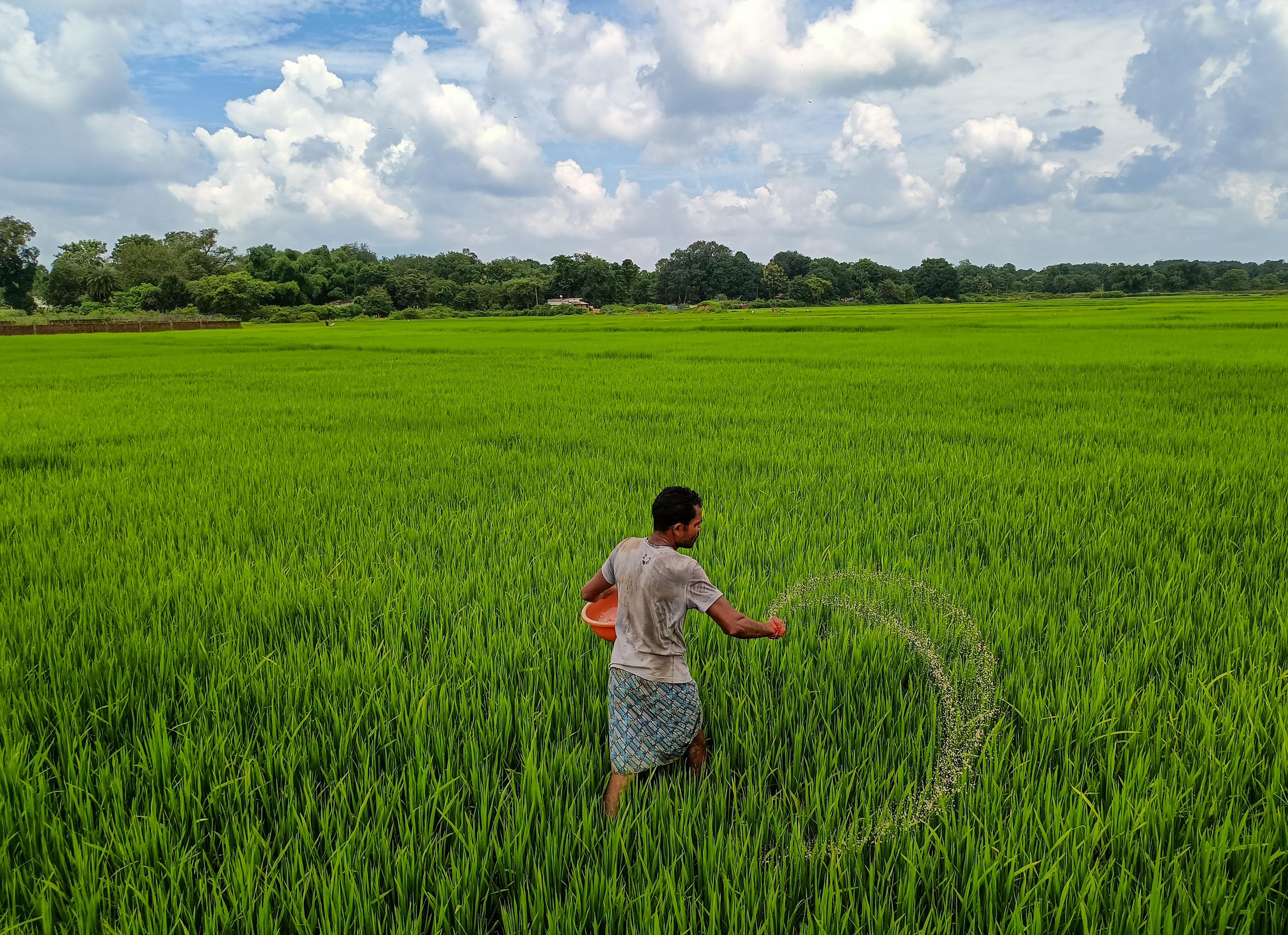Have strong urea buffer stock to supply farmers in Rabi season: Govt