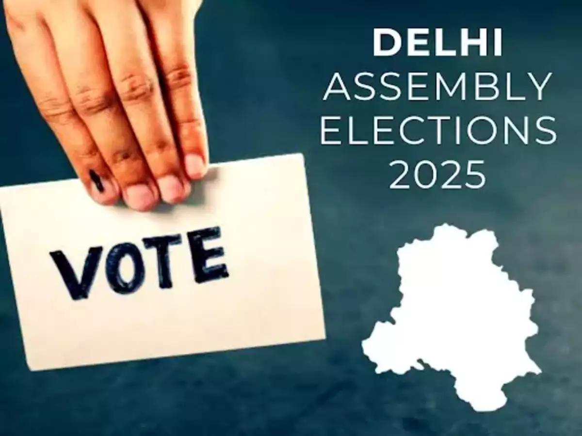 AAP Launches Website to Monitor Delhi Votes