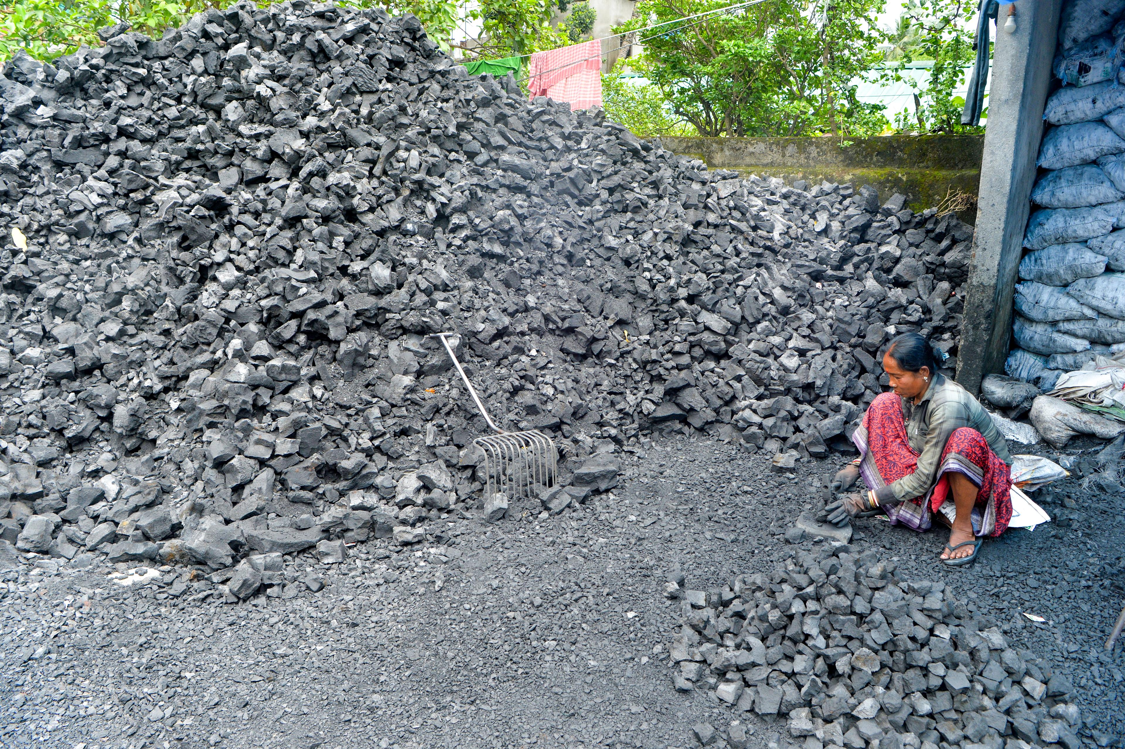 Coal