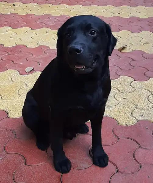 Pune Police mourns the loss of Le