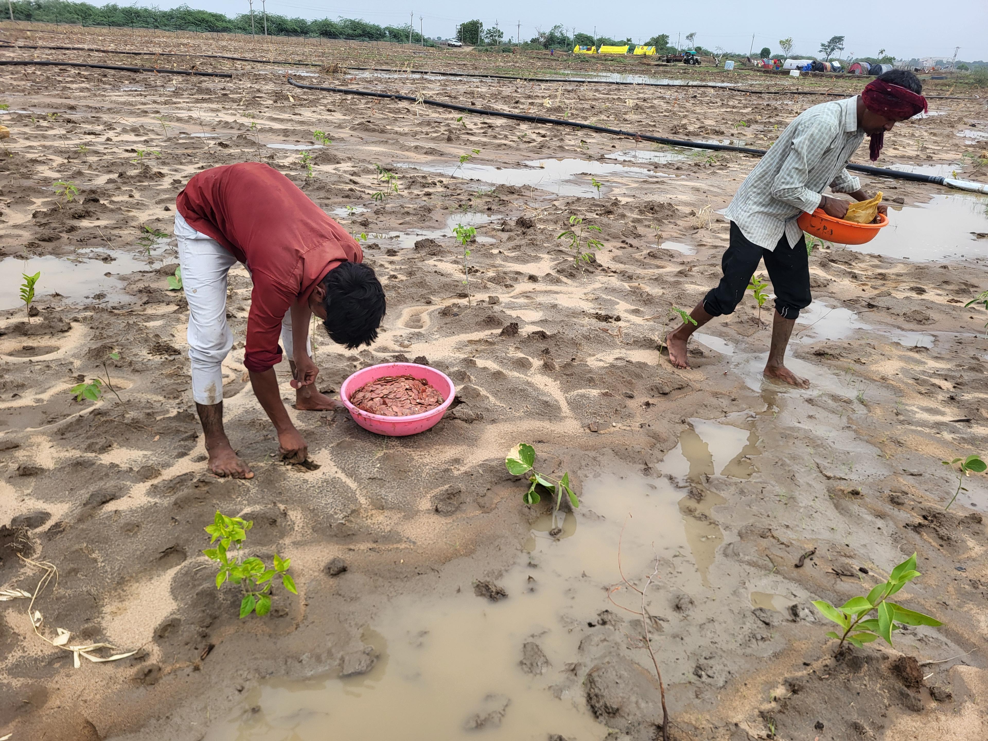 Gujarat