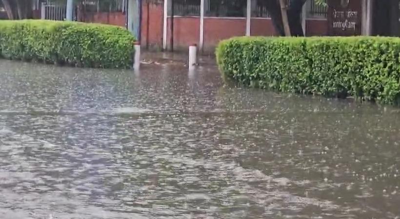 Showers of relief: Heavy rain cools NCR, brings respite from humid weather