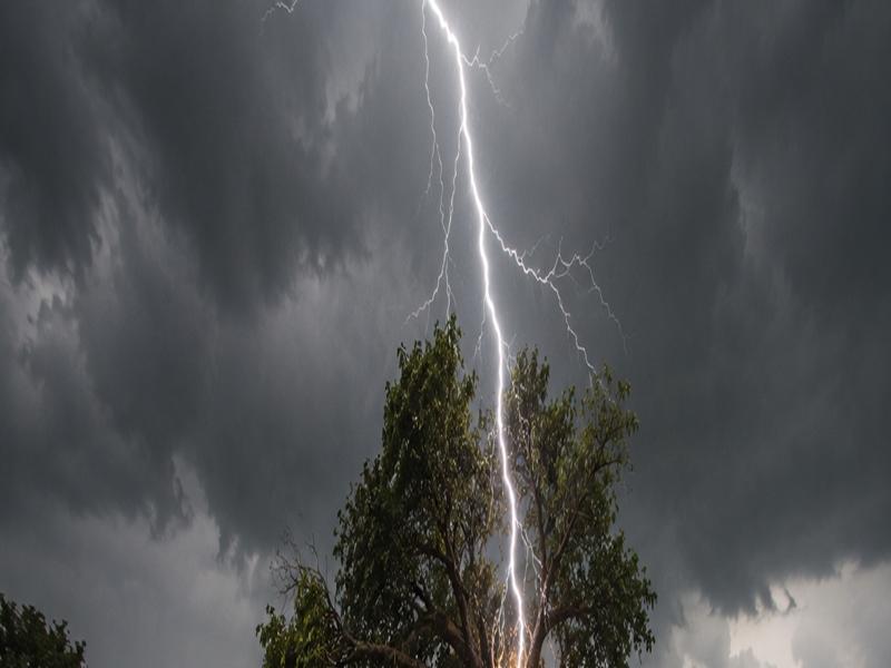 Lightning strike kills deputy sarpanch, two others during MGNREGA work in Chhattisgarh village