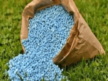 Ample stocks to ensure no shortage of urea in Punjab, says Centre